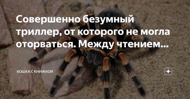 Неотразимый триллер: между мудростью и безумием