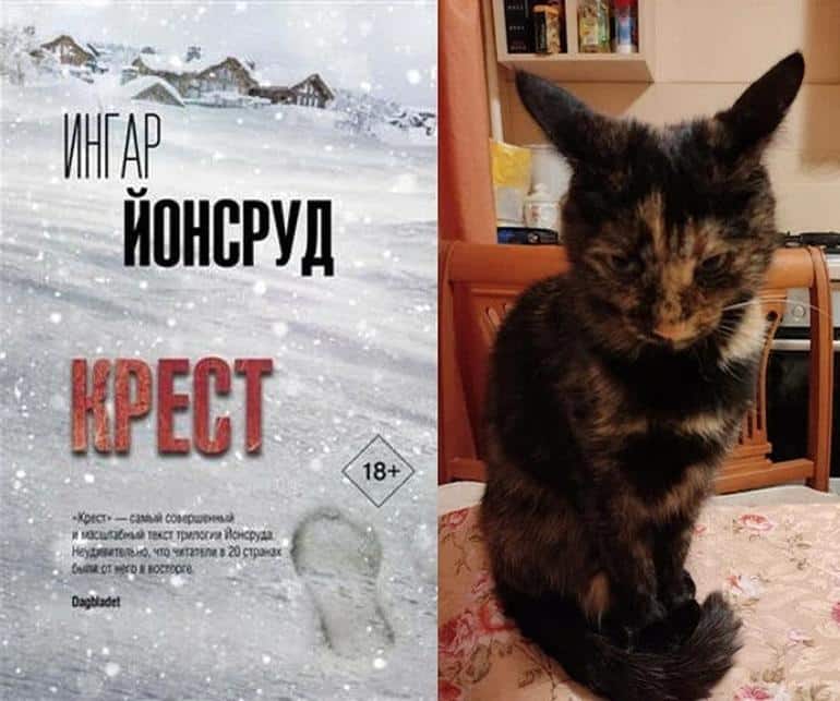 Тайна "Креста" Ингара Йонсруда: убийство успешного консультанта в Норвегии