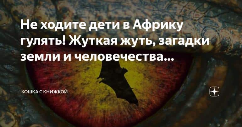 Смертельные опасности и шокирующие открытия: новая книга Джеймса Роллинса о загадках Африки