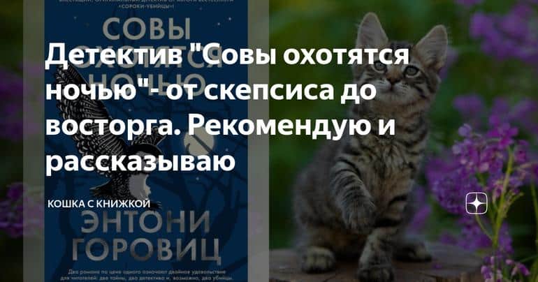 Детектив "Совы охотятся ночью"- от скепсиса до восторга. Рекомендую и рассказываю